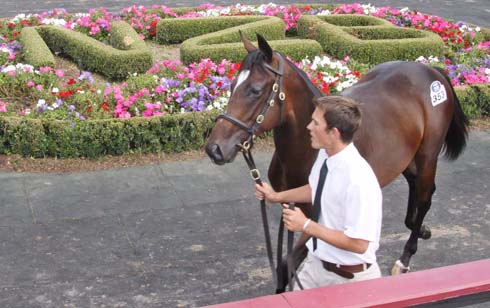 Lot 353 web